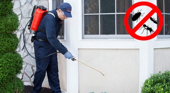 Kulu Bit İlaçlama böcek ilaçlama ve haşere kontrolü — ilaclama-tr.com